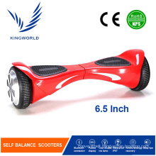 Outdoor Electric Self Balancing Scooter